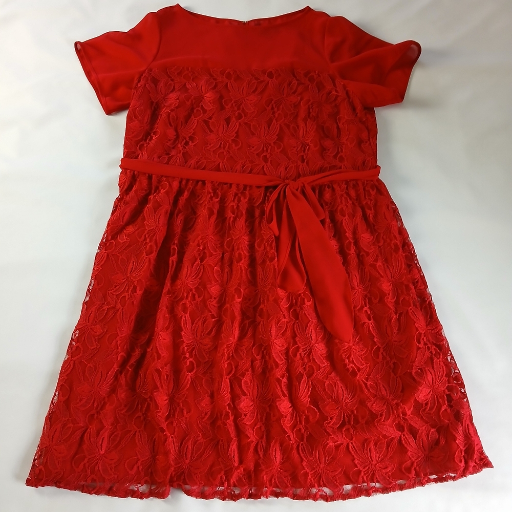 Dressbarn Lace Overlay Short Sleeve Dress